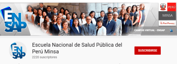 cursos virtuales del Minsa Perú 2021 (ENSAP / PROFAM)